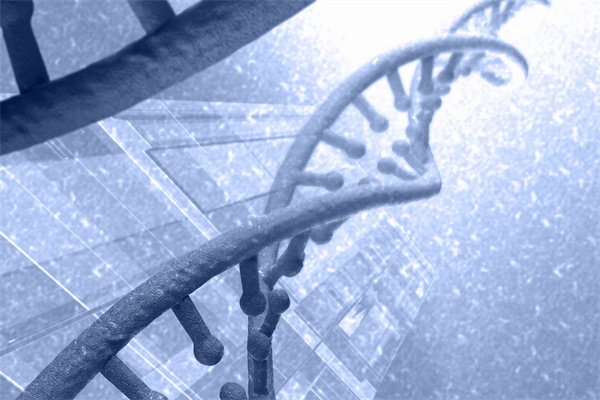 2024年转基因食品/转基因育种/转基因作物报告合集（共40套打包）