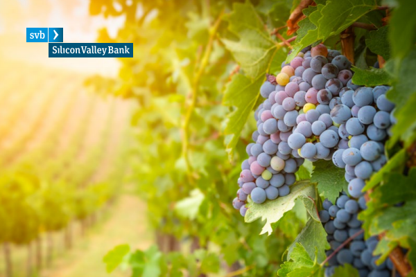 硅谷银行发布2021年美国葡萄酒行业状况报告：婴儿潮一代仍是葡萄酒最大消费者