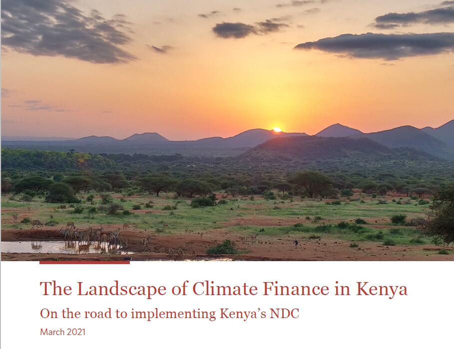 肯尼亚公共和私营部门气候融资概况：公共投资占59.4%，私营投资占40.7%