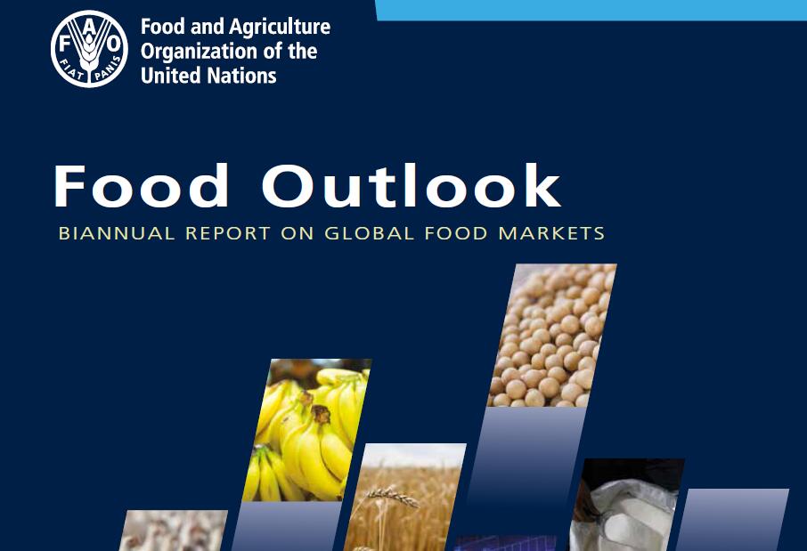联合国粮农组织：粮食展望：全球粮食市场半年度报告