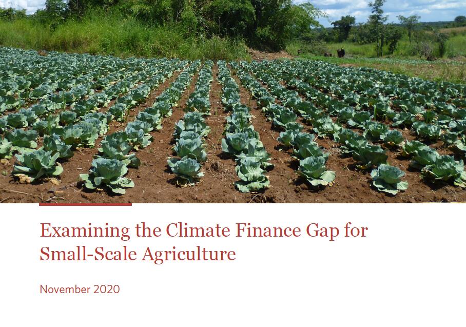 发展中国家小规模农业气候金融需求分析