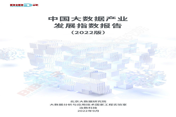 北京大数据研究院：中国大数据产业发展指数报告(2022版).pdf(附下载)
