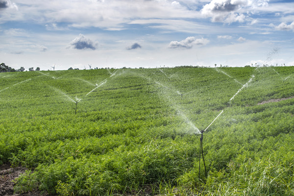 什么是高效节水灌溉？模式有哪些？