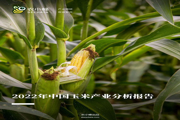 农小蜂：2022年中国玉米产业分析报告.pdf(附下载)