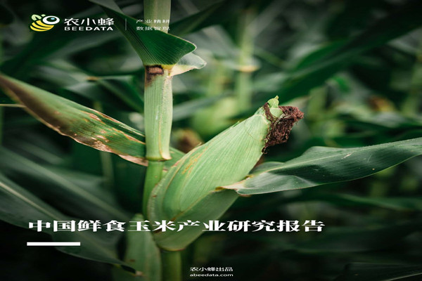 农小蜂：中国鲜食玉米产业研究报告.pdf(附下载)