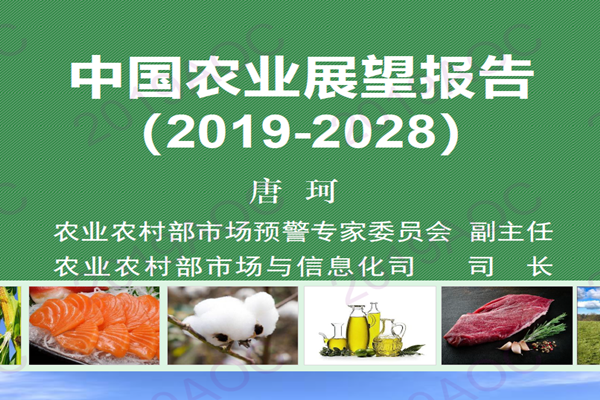 农业农村部：2019-2028中国农业展望报告.pdf（附下载）