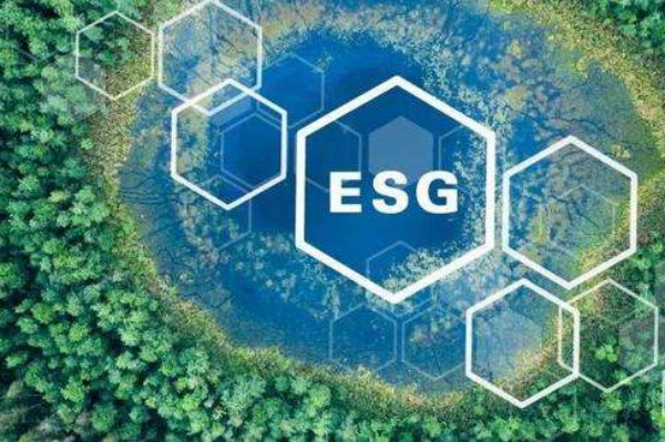 ESG（环境、社会和公司治理）