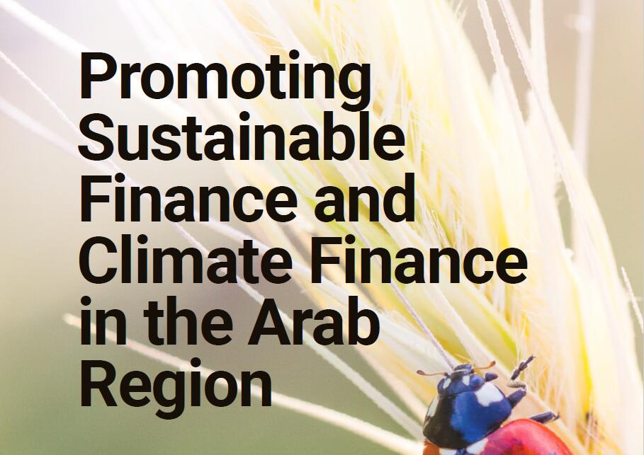 联合国环境规划署(UNEP)：埃及和约旦的气候国家政策和可持续金融实践报告