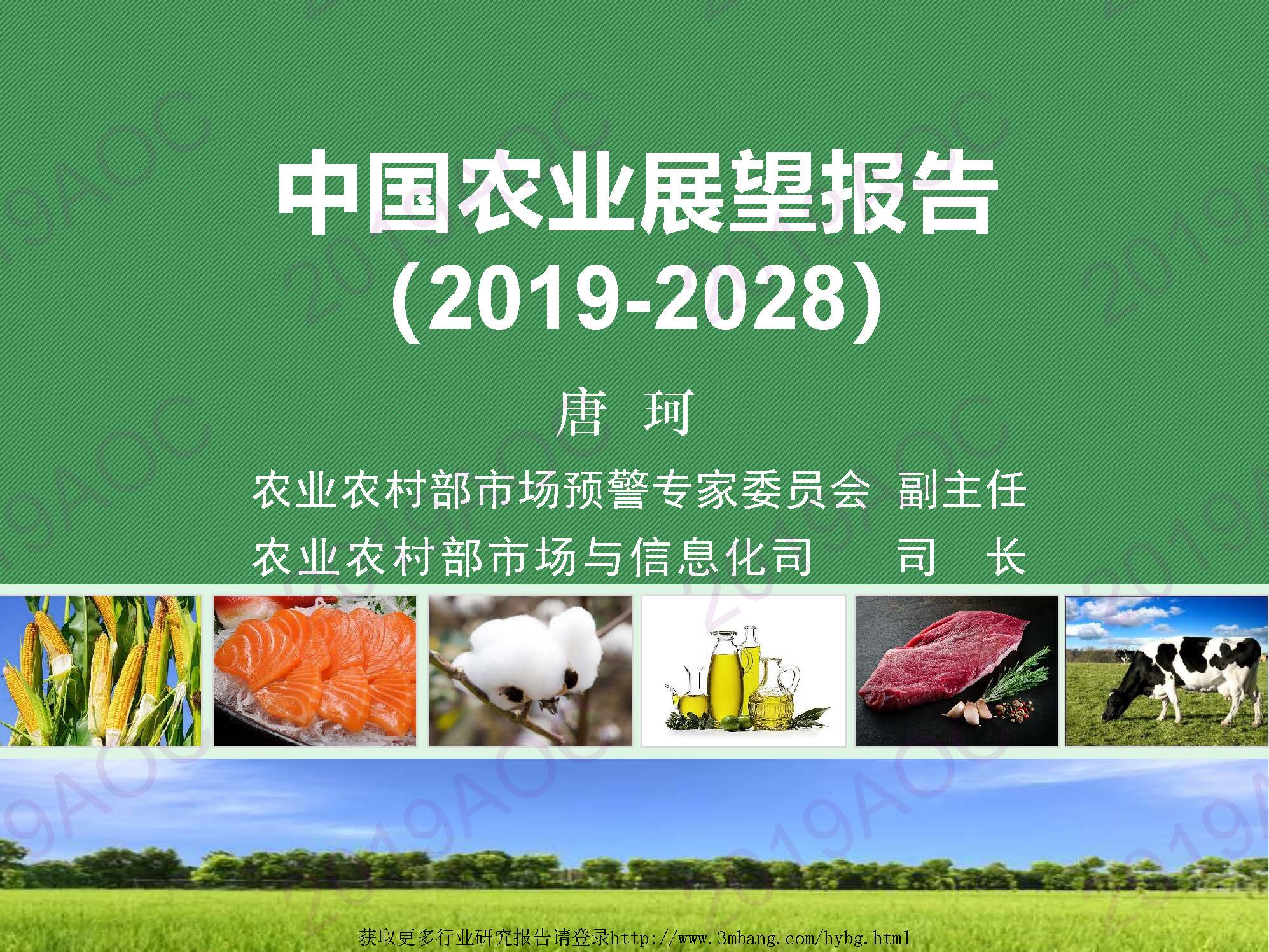 农业农村部市场与信息化司：2019-2028中国农业展望报告(附下载地址)