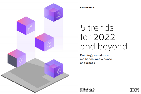 ​IBM商业价值研究院：2022年及未来的5大趋势.pdf(附下载)