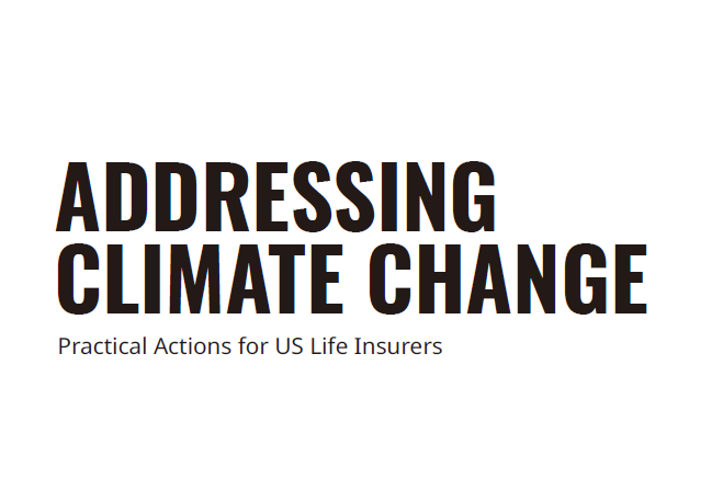 2020 应对气候变化报告：美国寿险公司的实际行动 -奥纬咨询
