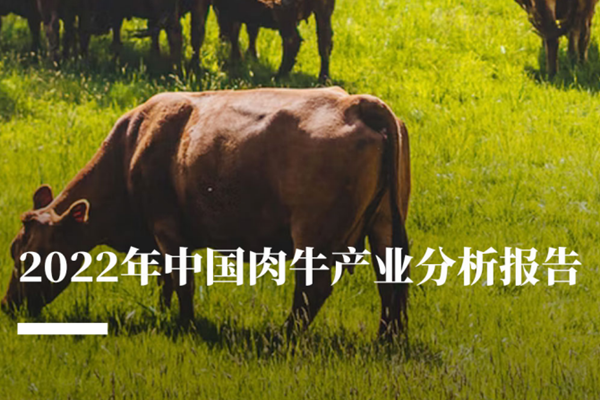农小蜂：2022年中国肉牛产业分析报告.pdf(附下载)