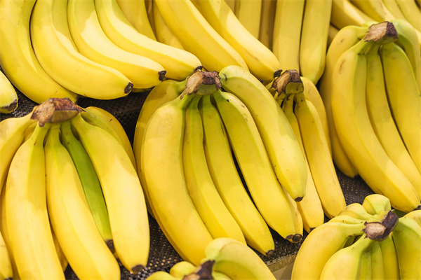 联合国粮农组织(FAO)：2021年全球香蕉进出口贸易市场回顾报告.pdf(附下载)
