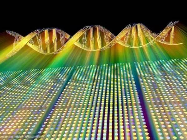基因芯片是什么？产业链构成是怎样的？基因芯片公司一览
