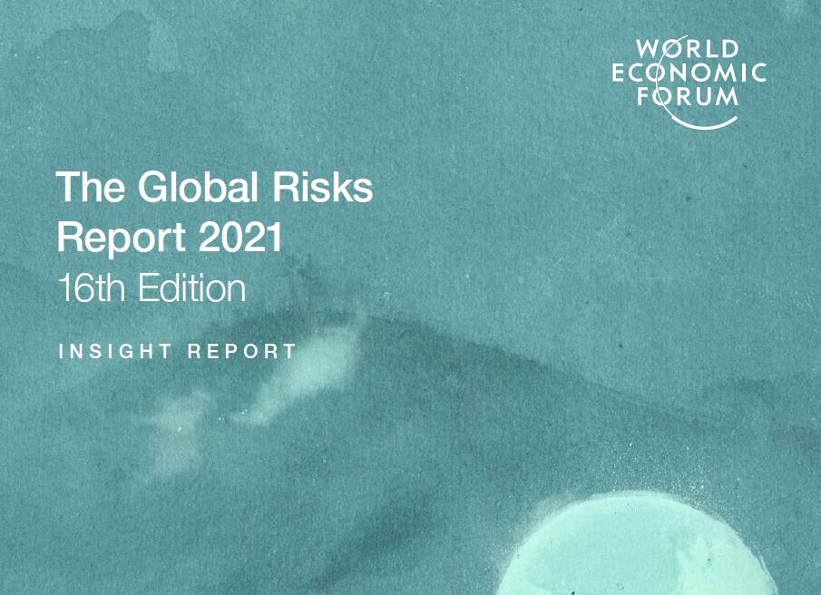 2021年全球风险调查分析报告