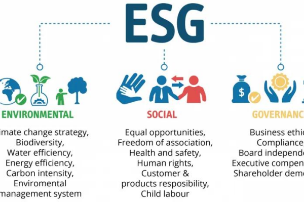 ESG责任投资