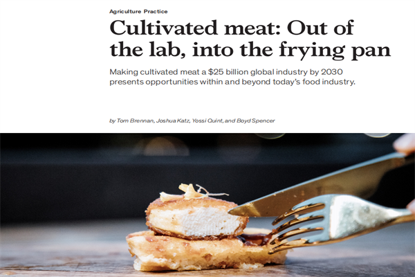 麦肯锡(McKinsey)：走出实验室-人造肉产业化报告.pdf(附下载)