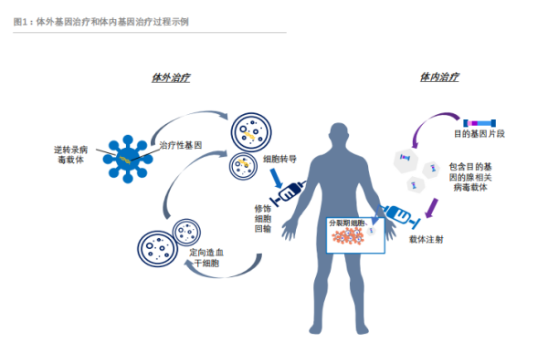 什么是CGT？中国基因与细胞治疗CDMO企业一览