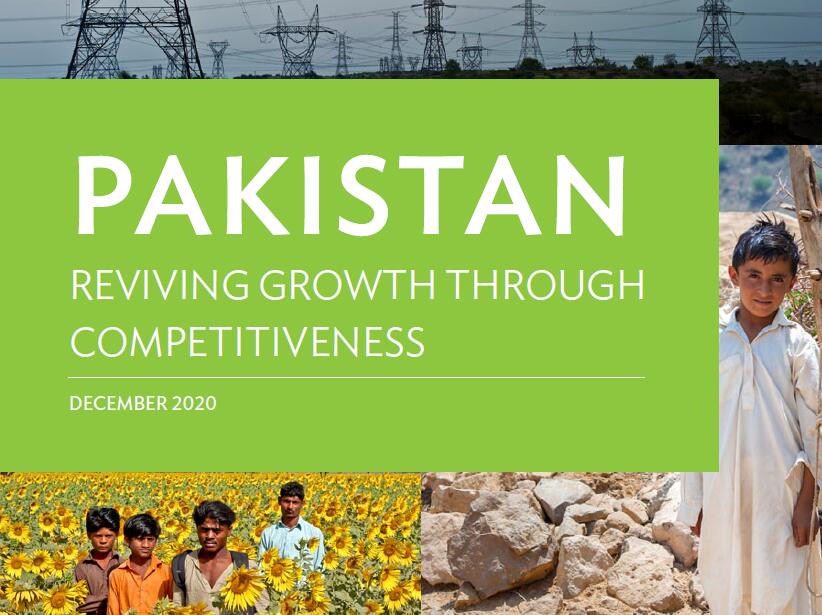 对巴基斯坦经济增长影响最大的因素是什么