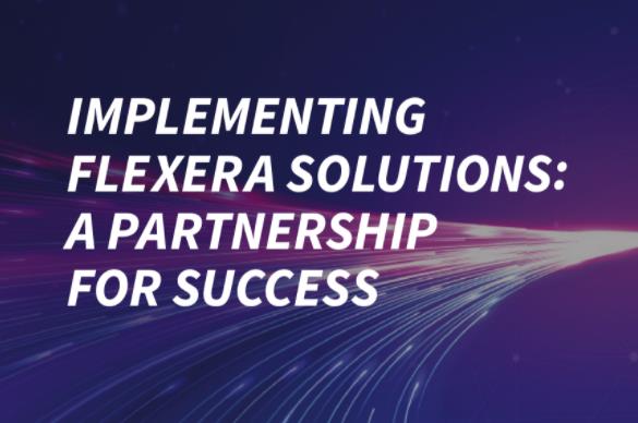 Flexra：2021年Flexra公司解决方案介绍报告