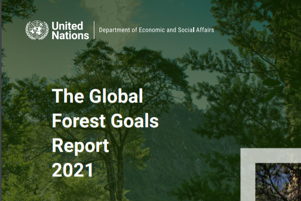 联合国森林目标报告：2010-2020全球森林面积下降1.2%，集中于非洲和南美