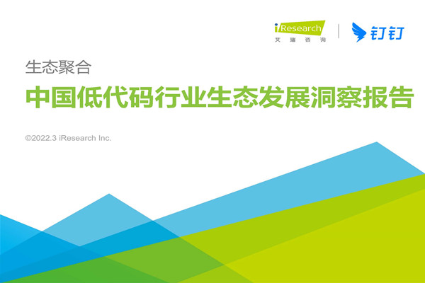 艾瑞咨询：2022年中国低代码行业生态发展洞察报告.pdf(附下载)