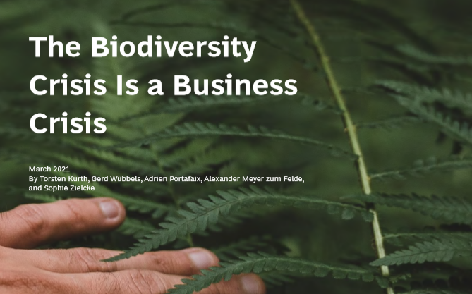 生物多样性危机与商业影响报告：全球50%以上的GDP依赖于生物多样性