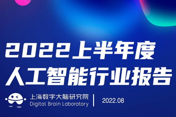 上海数字大脑研究院：2022上半年度人工智能行业报告.pdf(附下载)