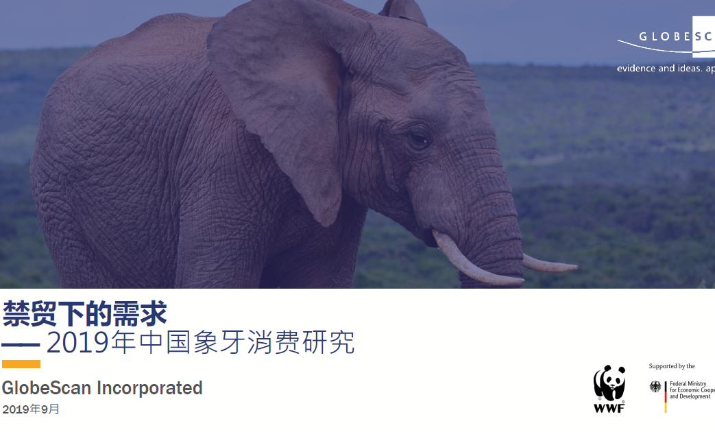 WWF：禁贸下的需求 —— 2019年中国象牙消费研究（附下载地址）