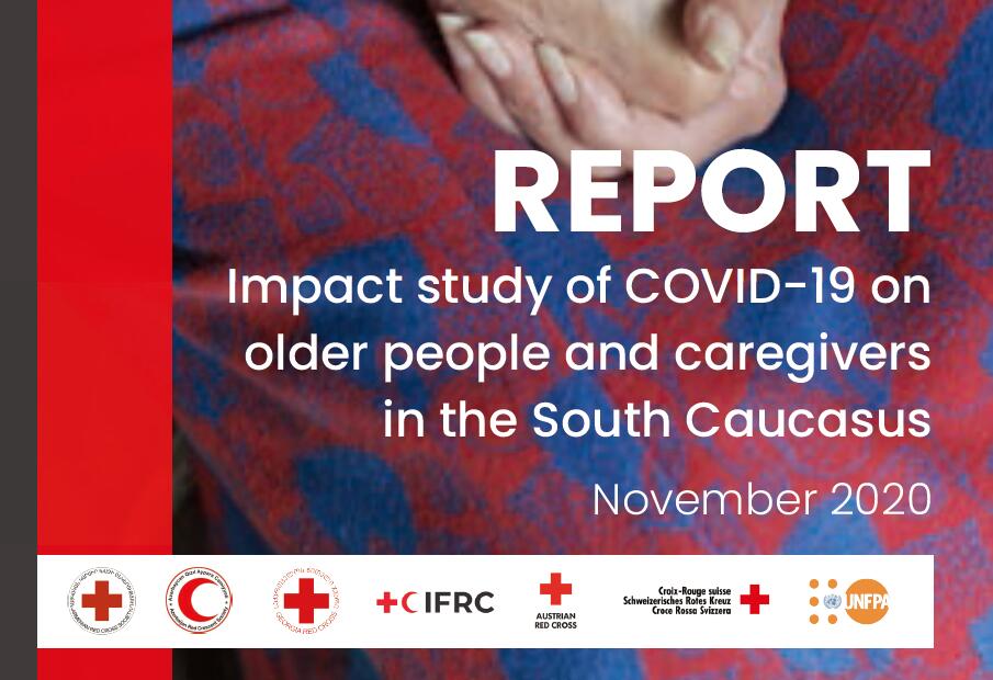 南高加索地区护理人员报告：家庭护理包括家庭服务、保健以及社会心理援助
