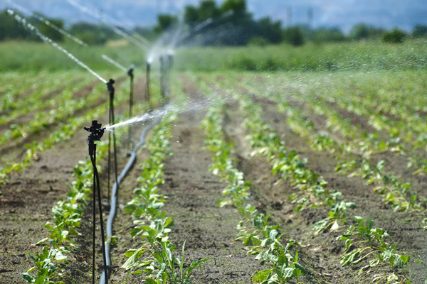 节水灌溉设备种类、发展历程及龙头企业一览