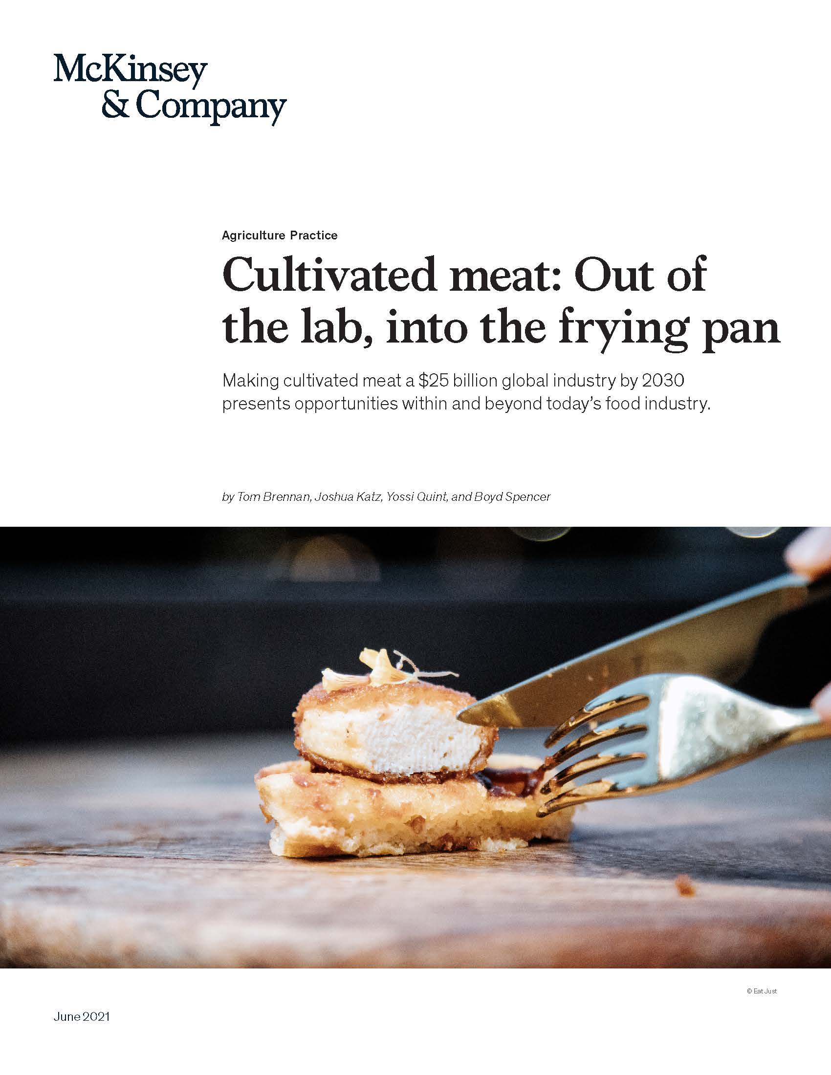 人造肉产业报告