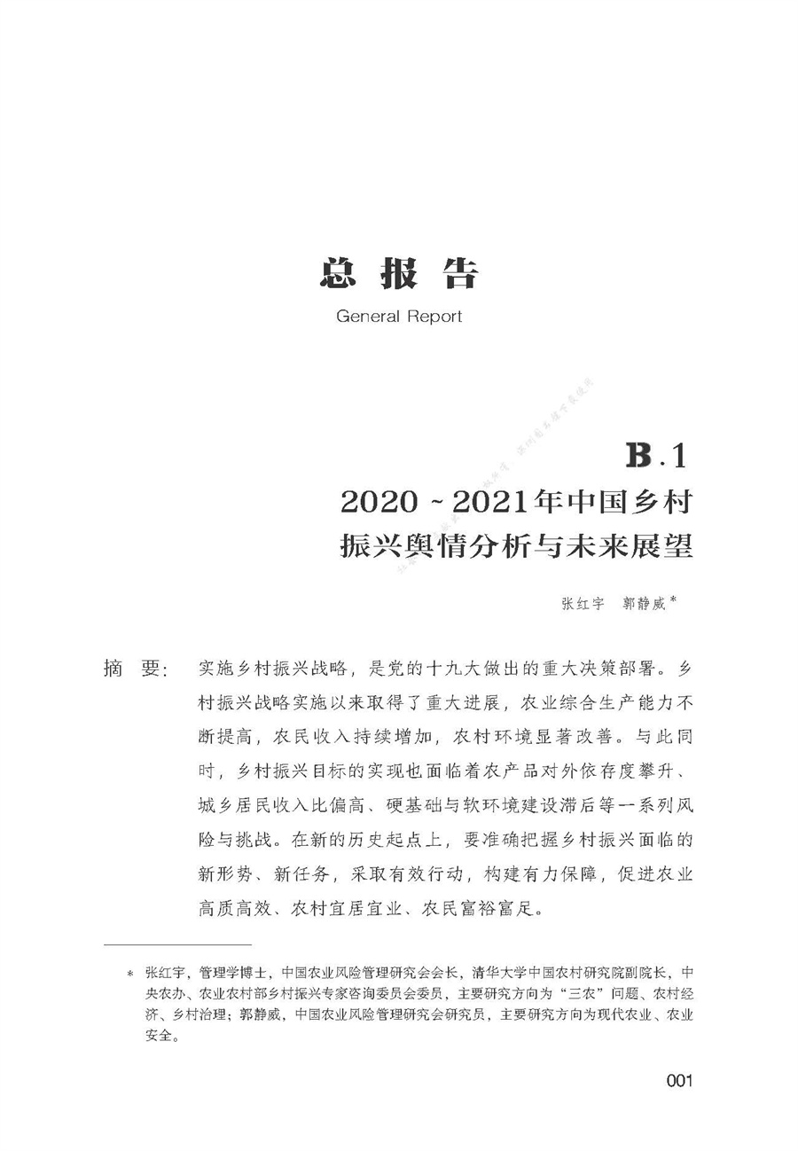 中国乡村振兴发展报告(2021)