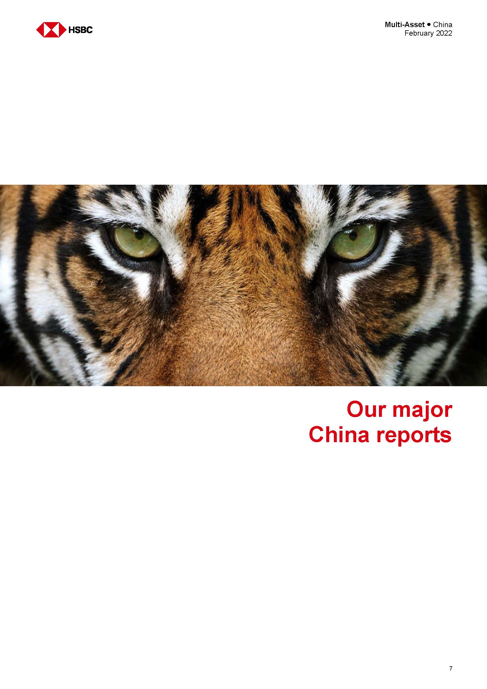 中国投资策略报告