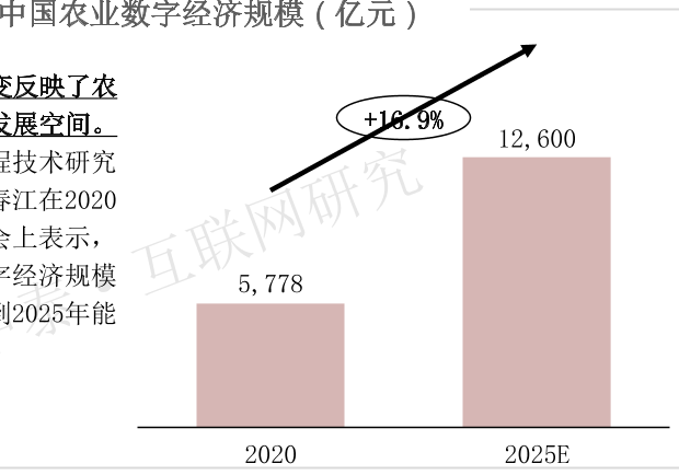 中国农业数字经济规模（亿元）