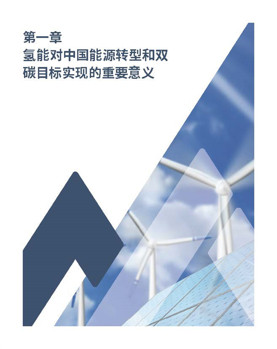 开启绿色氢能新时代之匙-中国2030年“可再生氢100”发展路线图